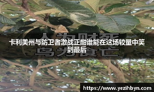 卡利美州与防卫者激战正酣谁能在这场较量中笑到最后